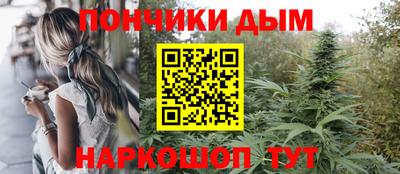 гидра Можга
